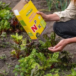 Ecostyle Bloedmeel 9 Ecostyle Bloedmeel -Boom Ziel Verkoop bloedmeel 4