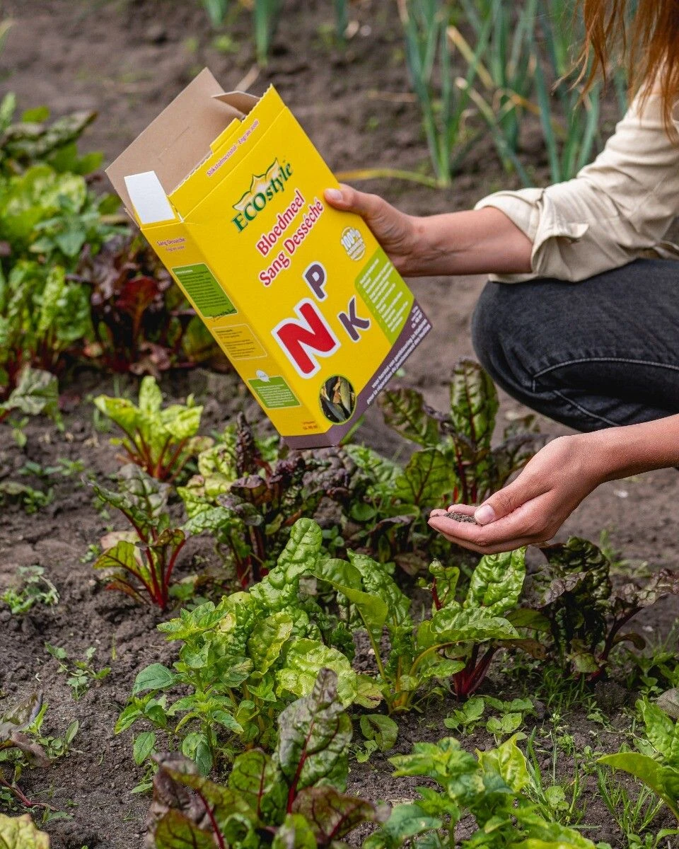 Ecostyle Bloedmeel 5 Ecostyle Bloedmeel - Afbeelding 5