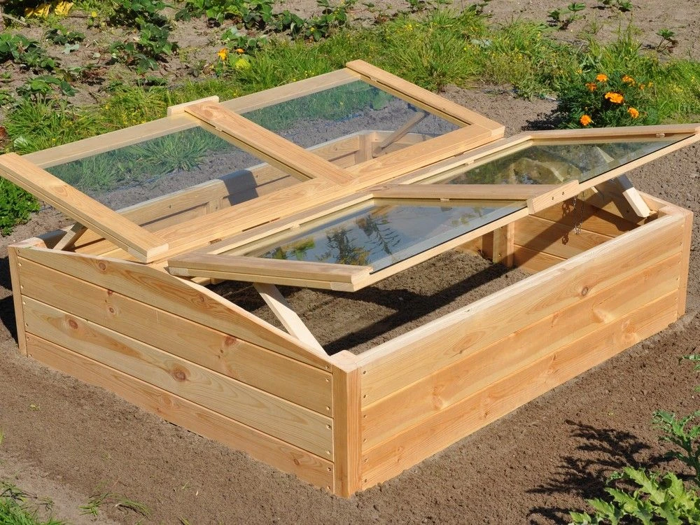 Royal Well Broeikas Chili Pepper 3 Royal Well Broeikas Chili Pepper - Afbeelding 3