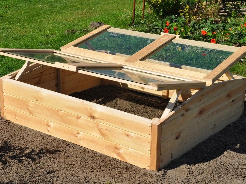 Royal Well Broeikas Chili Pepper 7 Royal Well Broeikas Chili Pepper - Afbeelding 7