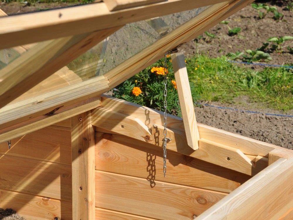 Royal Well Broeikas Chili Pepper 8 Royal Well Broeikas Chili Pepper - Afbeelding 8