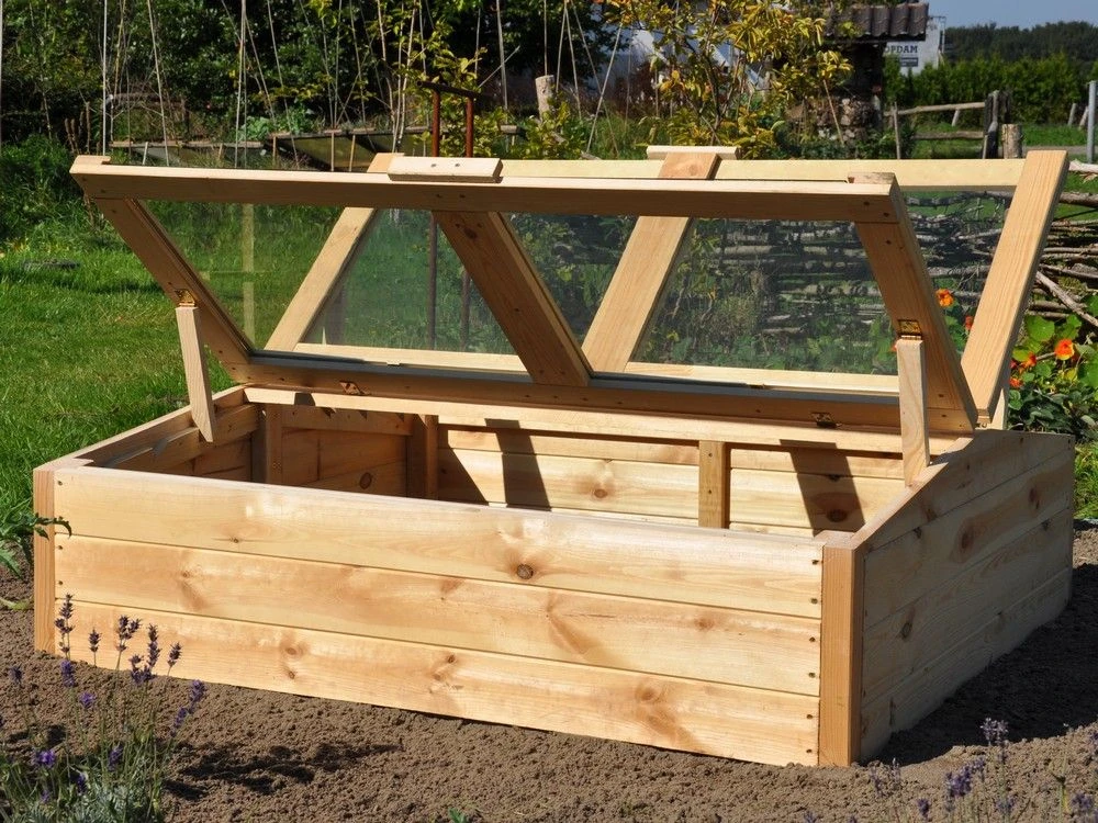 Royal Well Broeikas Chili Pepper 1 Royal Well Broeikas Chili Pepper