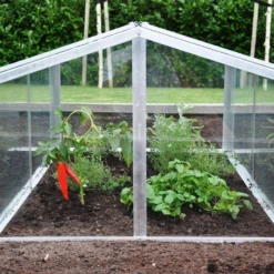 Royal Well Broeikas Jumbo 12 Royal Well Broeikas Jumbo -Boom Ziel Verkoop broeikas jumbo 3 5010697007416 tuinland