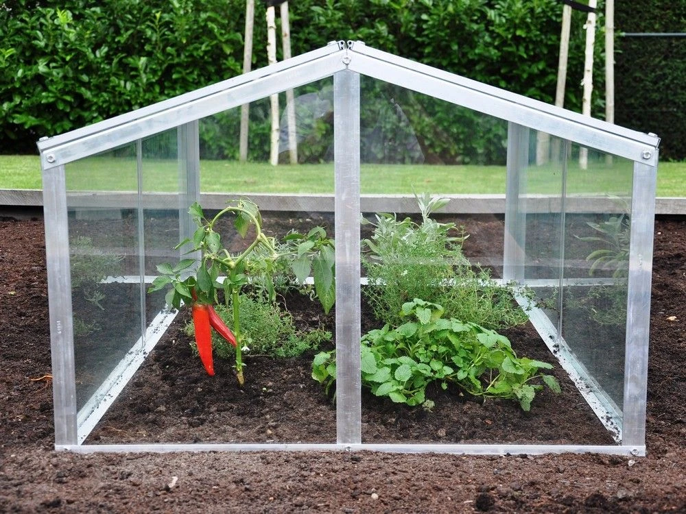 Royal Well Broeikas Jumbo 3 Royal Well Broeikas Jumbo - Afbeelding 3