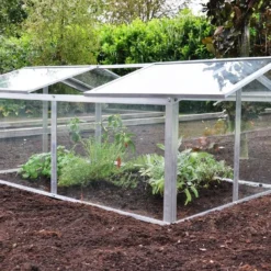 Royal Well Broeikas Jumbo 13 Royal Well Broeikas Jumbo -Boom Ziel Verkoop broeikas jumbo 4 5010697007416 tuinland