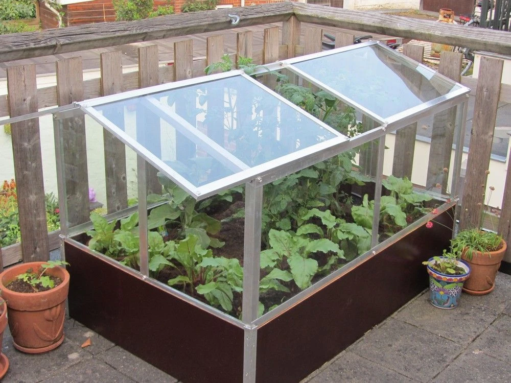 Royal Well Broeikas Jumbo 5 Royal Well Broeikas Jumbo - Afbeelding 5