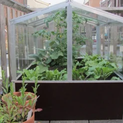 Royal Well Broeikas Jumbo 15 Royal Well Broeikas Jumbo -Boom Ziel Verkoop broeikas jumbo 6 5010697007416 tuinland