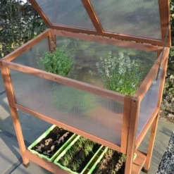 Royal Well Broeikas Red Leaf 10 Royal Well Broeikas Red Leaf -Boom Ziel Verkoop broeikas red leaf 2 8718226339133 tuinland