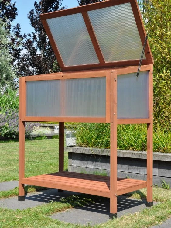 Royal Well Broeikas Red Leaf 5 Royal Well Broeikas Red Leaf - Afbeelding 5