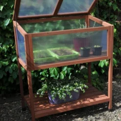 Royal Well Broeikas Red Leaf 13 Royal Well Broeikas Red Leaf -Boom Ziel Verkoop broeikas red leaf 5 8718226339133 tuinland