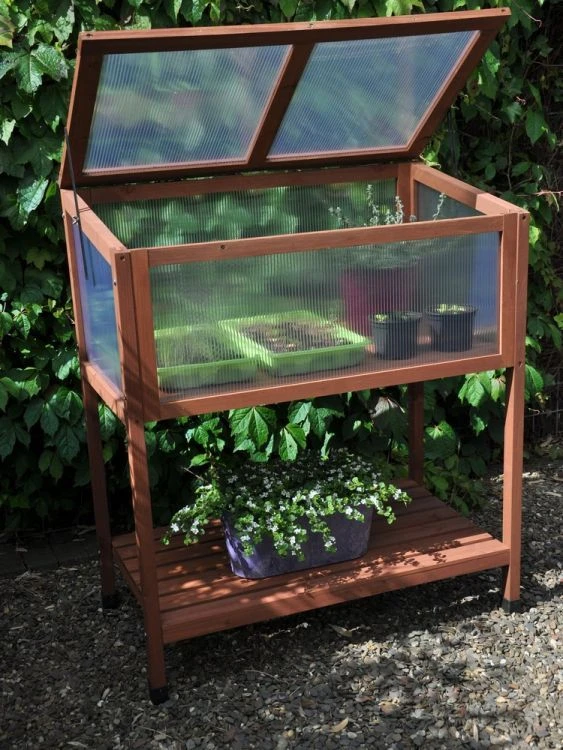 Royal Well Broeikas Red Leaf 6 Royal Well Broeikas Red Leaf - Afbeelding 6