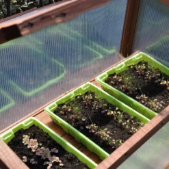 Royal Well Broeikas Red Leaf 14 Royal Well Broeikas Red Leaf -Boom Ziel Verkoop broeikas red leaf 7 8718226339133 tuinland