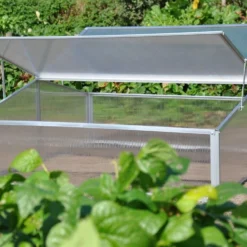 Royal Well Broeikas Silver Thyme 10 Royal Well Broeikas Silver Thyme -Boom Ziel Verkoop broeikas silver 3 thyme 8718226338082 tuinland