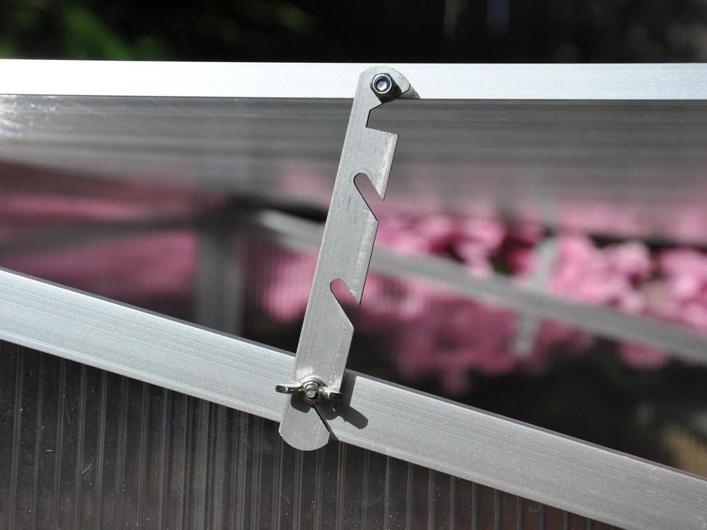 Royal Well Broeikas Silver Thyme 5 Royal Well Broeikas Silver Thyme - Afbeelding 5