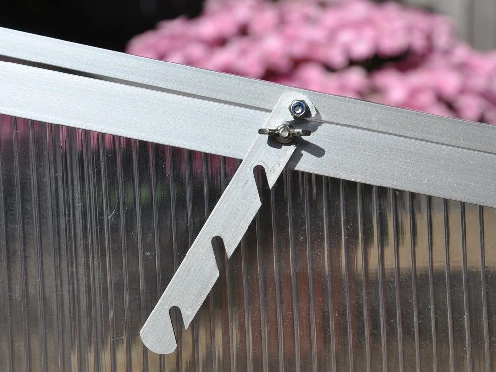 Royal Well Broeikas Silver Thyme 6 Royal Well Broeikas Silver Thyme - Afbeelding 6