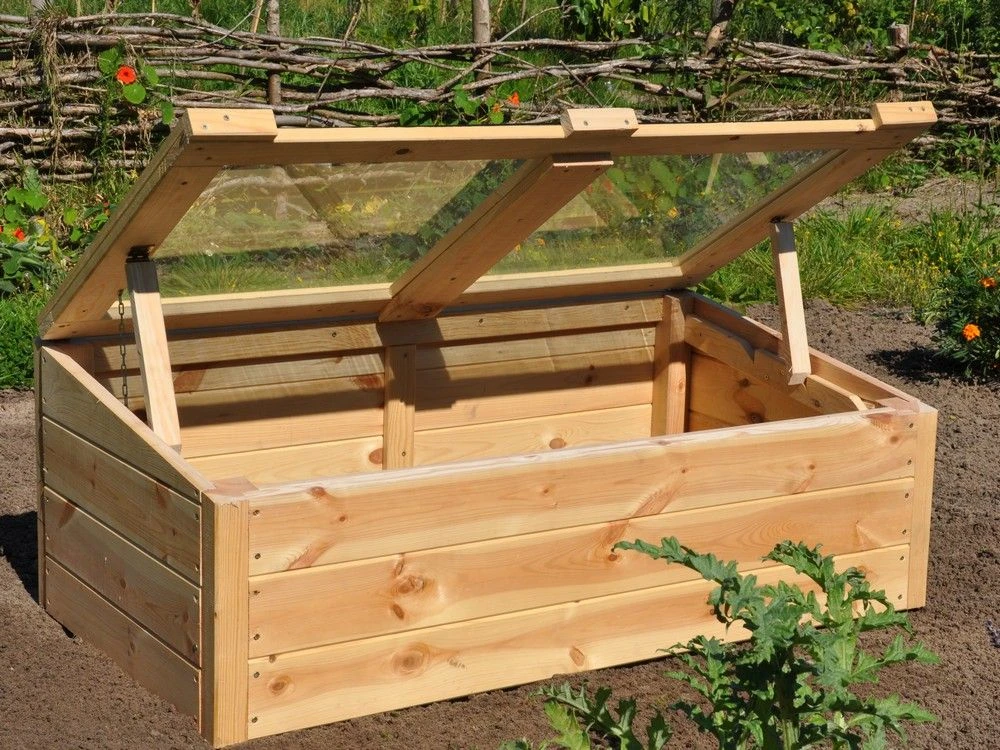 Royal Well Broeikas Strawberry Queen 2 Royal Well Broeikas Strawberry Queen - Afbeelding 2