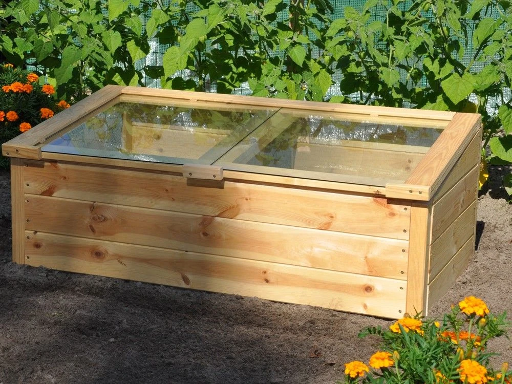 Royal Well Broeikas Strawberry Queen 3 Royal Well Broeikas Strawberry Queen - Afbeelding 3