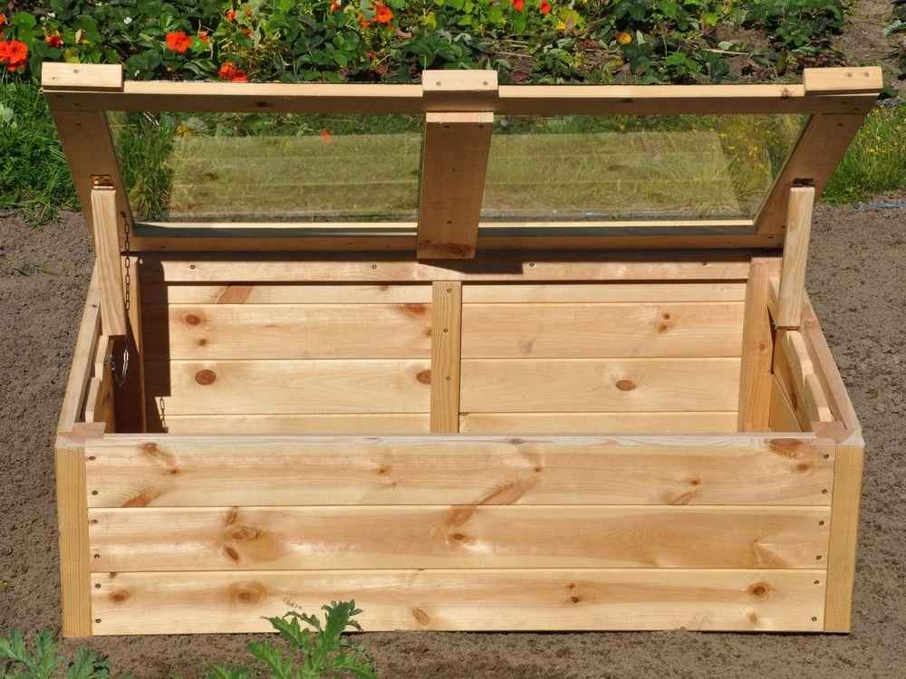 Royal Well Broeikas Strawberry Queen 4 Royal Well Broeikas Strawberry Queen - Afbeelding 4