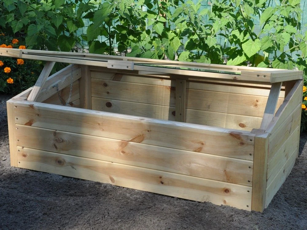 Royal Well Broeikas Strawberry Queen 6 Royal Well Broeikas Strawberry Queen - Afbeelding 6