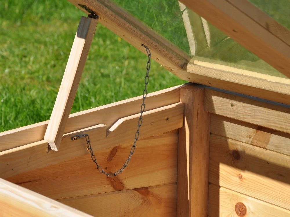 Royal Well Broeikas Strawberry Queen 7 Royal Well Broeikas Strawberry Queen - Afbeelding 7