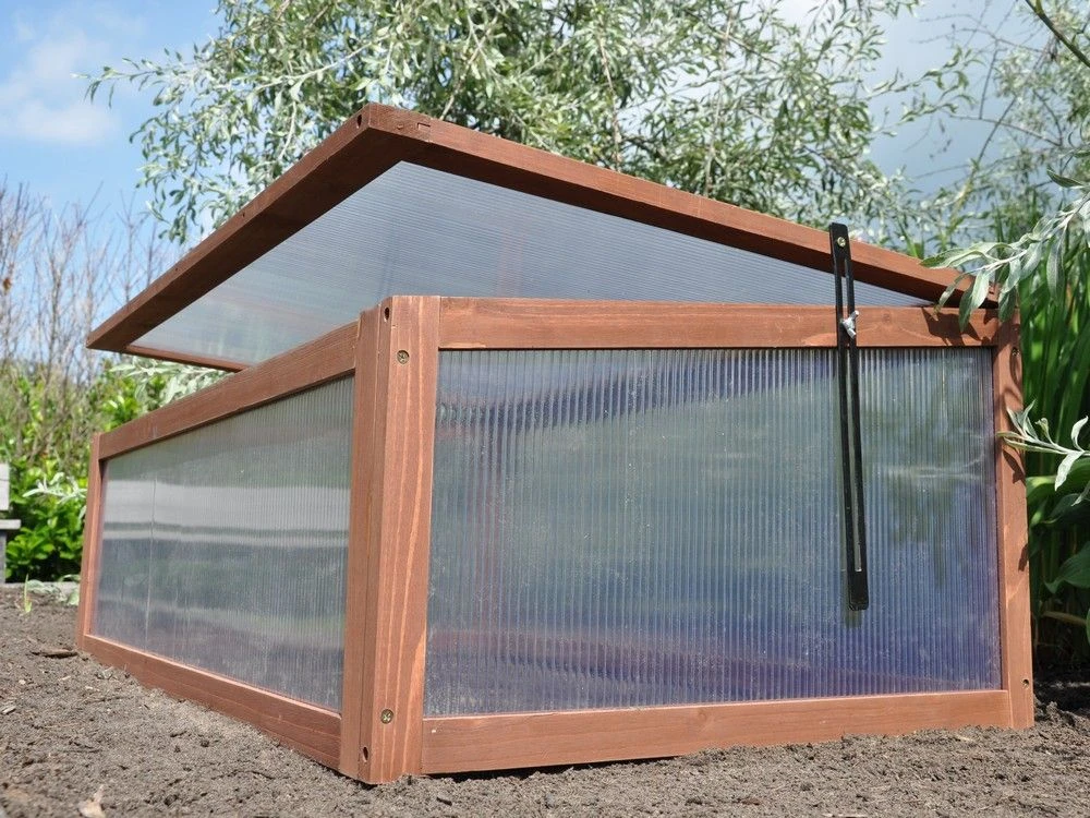 Royal Well Broeikas Sweet Tomato 5 Royal Well Broeikas Sweet Tomato - Afbeelding 5