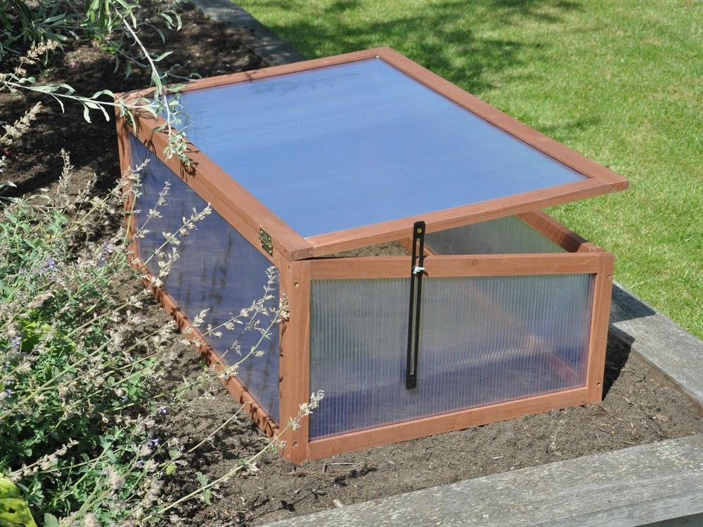 Royal Well Broeikas Sweet Tomato 7 Royal Well Broeikas Sweet Tomato - Afbeelding 7