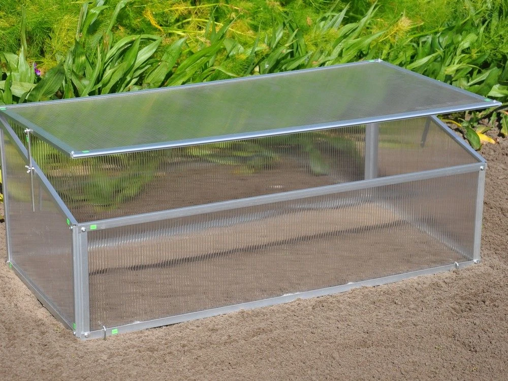 Royal Well Broeikas Viola 2 Royal Well Broeikas Viola - Afbeelding 2