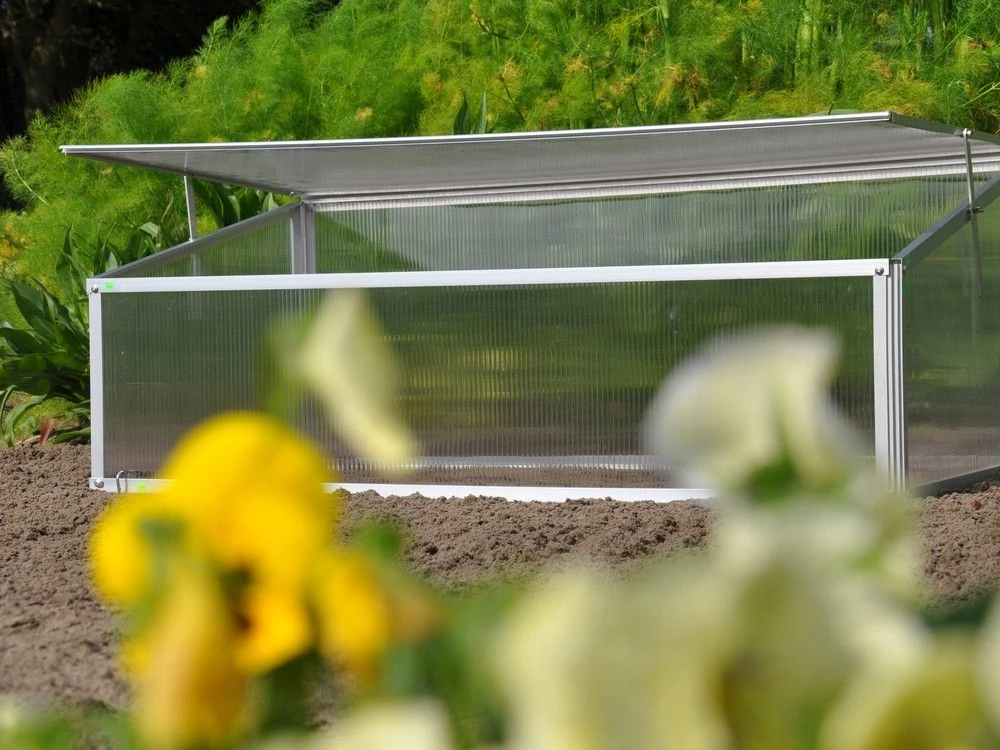 Royal Well Broeikas Viola 3 Royal Well Broeikas Viola - Afbeelding 3