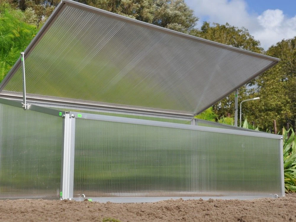 Royal Well Broeikas Viola 4 Royal Well Broeikas Viola - Afbeelding 4