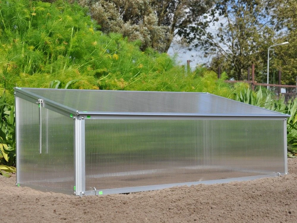 Royal Well Broeikas Viola 5 Royal Well Broeikas Viola - Afbeelding 5