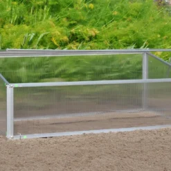 Royal Well Broeikas Viola