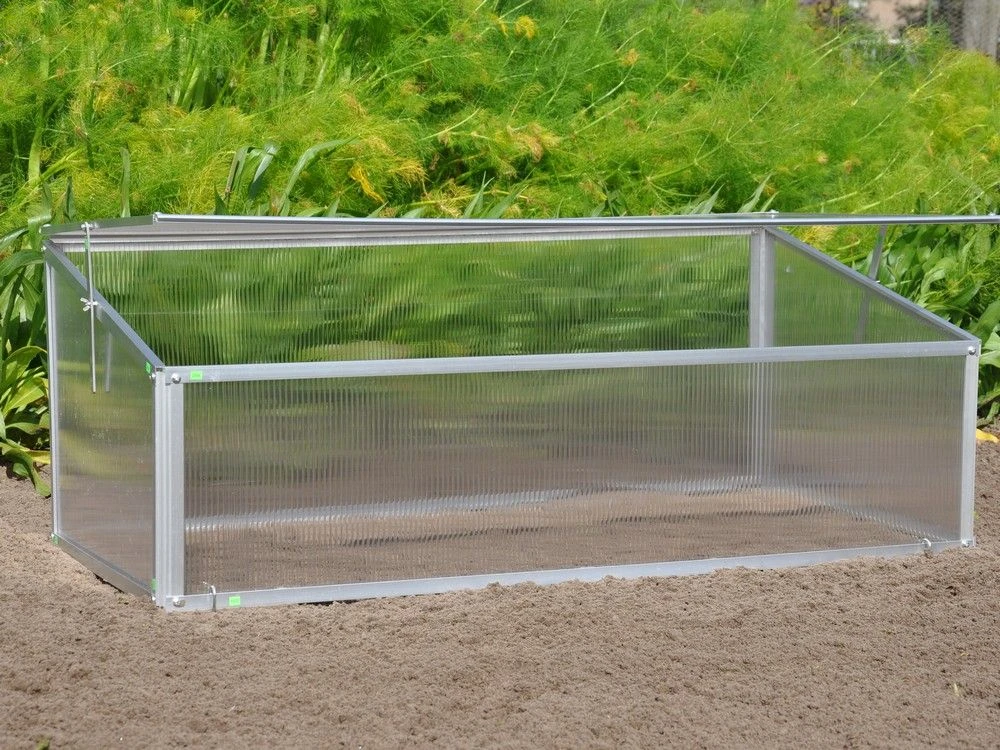 Royal Well Broeikas Viola 1 Royal Well Broeikas Viola