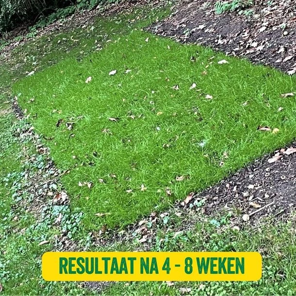 Ecostyle SowEazy Graszaad Inzaairol 4 Ecostyle SowEazy Graszaad Inzaairol - Afbeelding 4