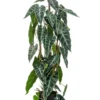 Emerald Kunstplant Alocasia