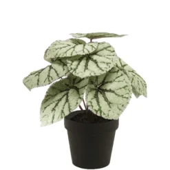 Emerald Kunstplant Begonia
