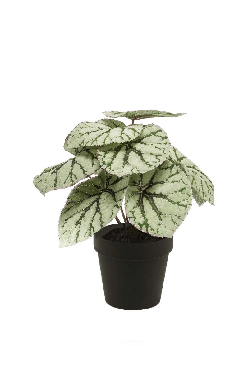 Emerald Kunstplant Begonia 1 Emerald Kunstplant Begonia
