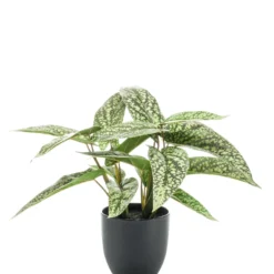 Emerald Kunstplant Calathea