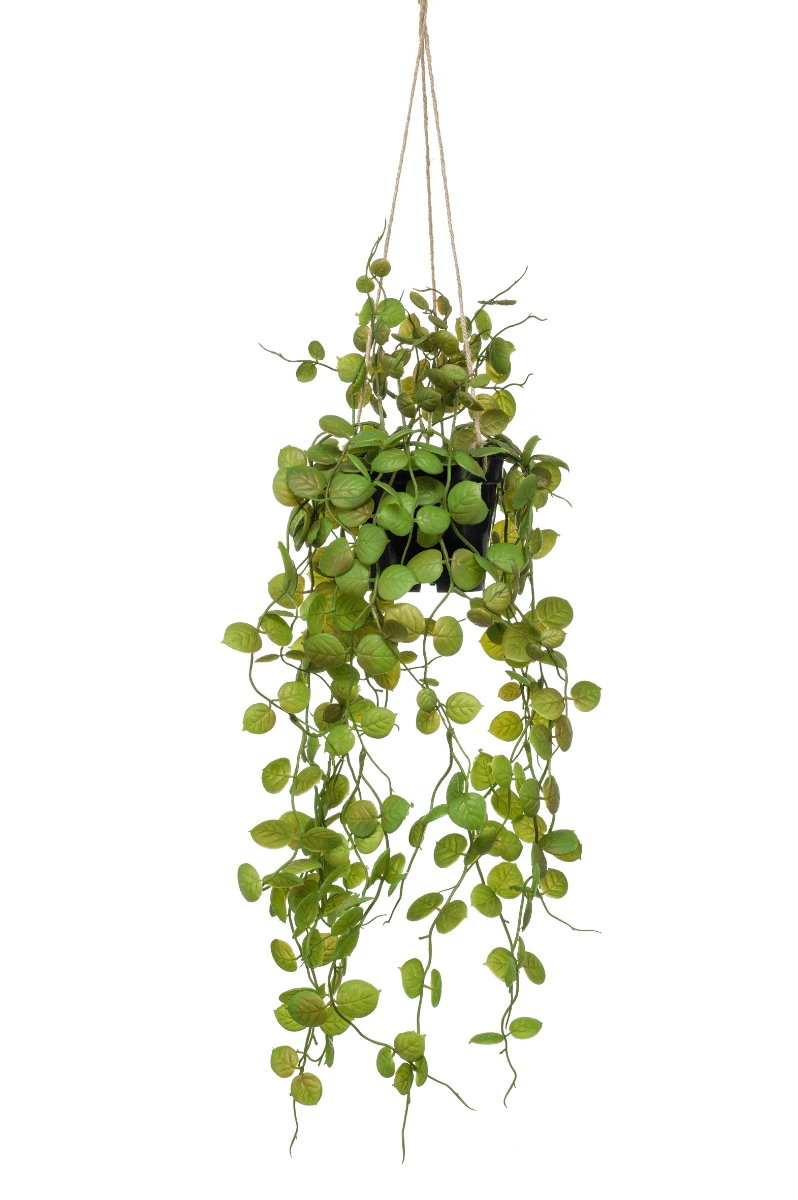 Emerald Hang Kunstplant Ceropegia 1 Emerald Hang Kunstplant Ceropegia