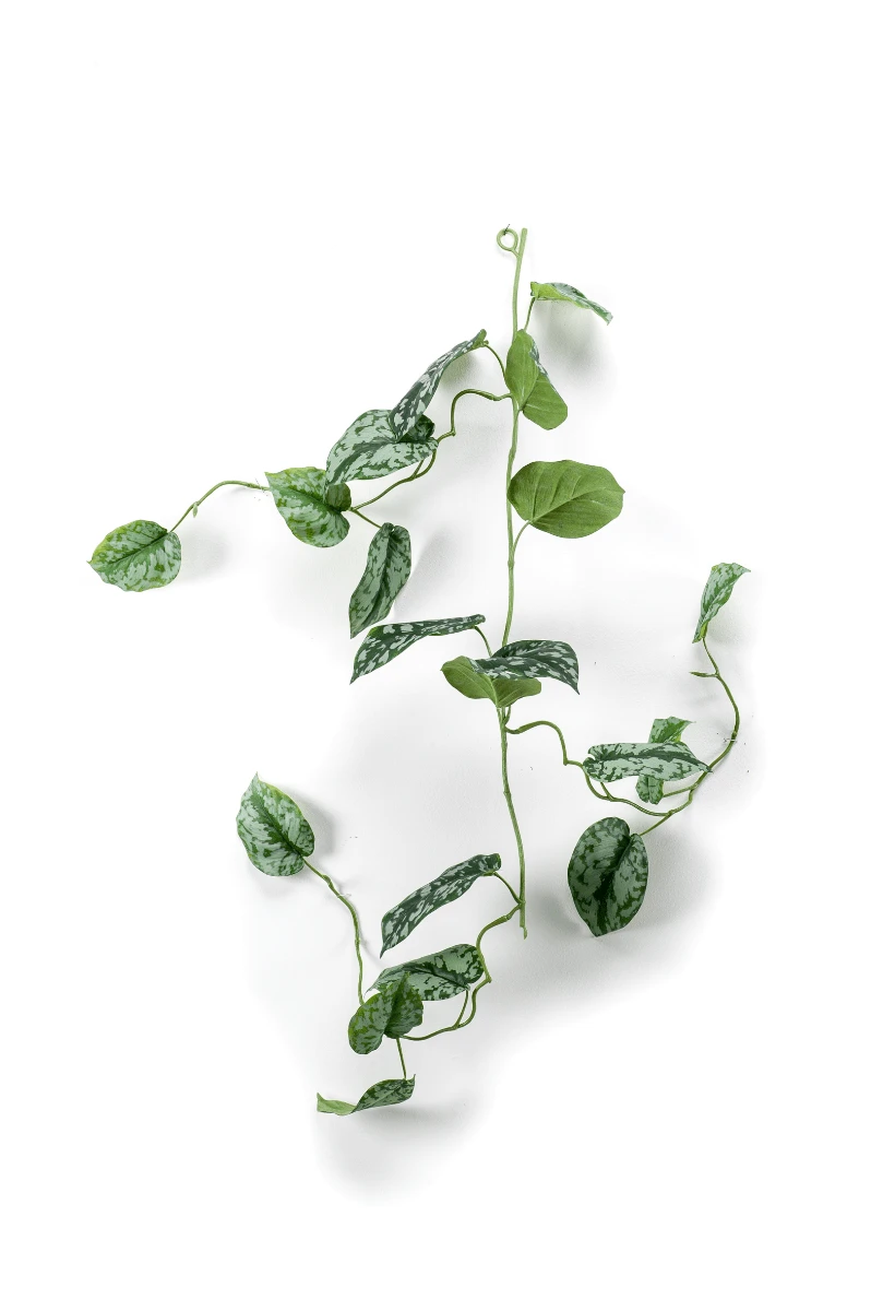 Emerald Kunstplantslinger Scindapsus Pictus 1 Emerald Kunstplantslinger Scindapsus Pictus