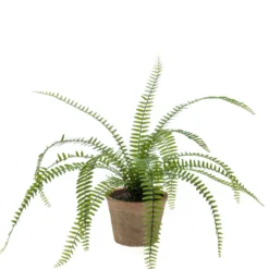 Emerald Kunstplant Krulvaren