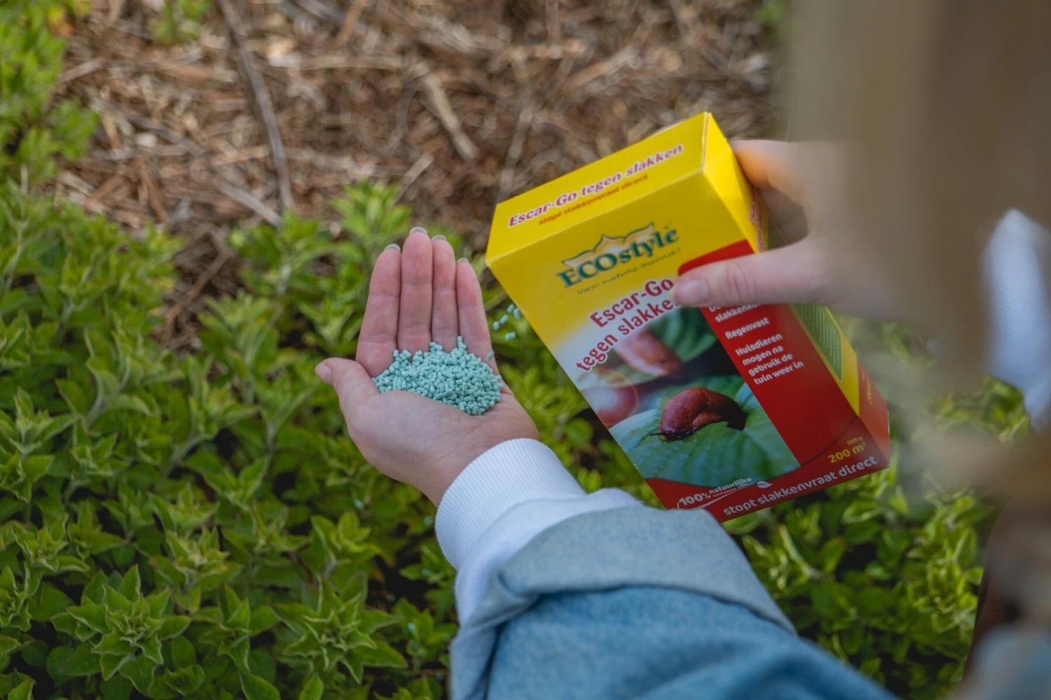 Ecostyle Escar-Go Tegen Slakken 5 Ecostyle Escar-Go Tegen Slakken - Afbeelding 5