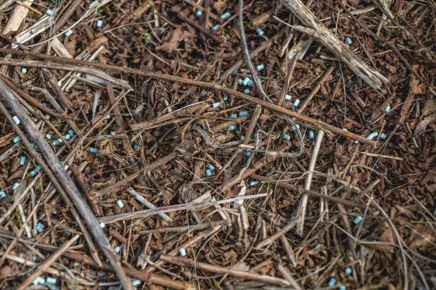 Ecostyle Escar-Go Tegen Slakken - Strooikoker 7 Ecostyle Escar-Go Tegen Slakken - Strooikoker - Afbeelding 7