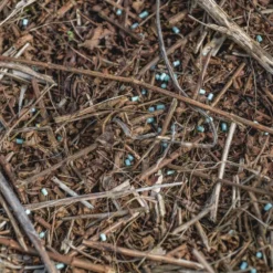 Ecostyle Escar-Go Tegen Slakken 12 Ecostyle Escar-Go Tegen Slakken -Boom Ziel Verkoop escar go 6 1