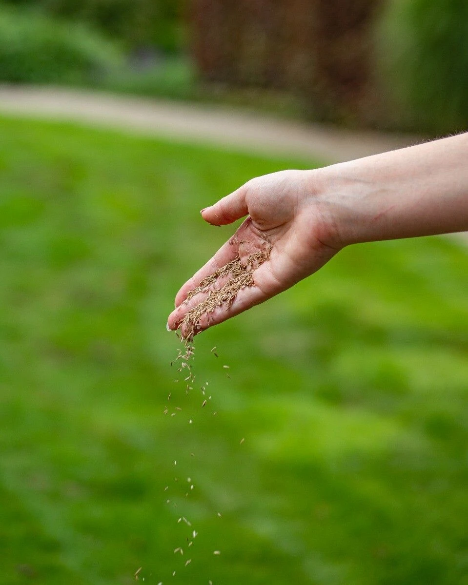 Ecostyle Graszaad - Inzaai 4 Ecostyle Graszaad - Inzaai - Afbeelding 4