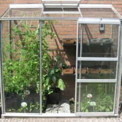 Halls Greenhouses Muurkas WG 62 - Blank -Boom Ziel Verkoop muurkas wg 62 5 8718215761037 tuinland