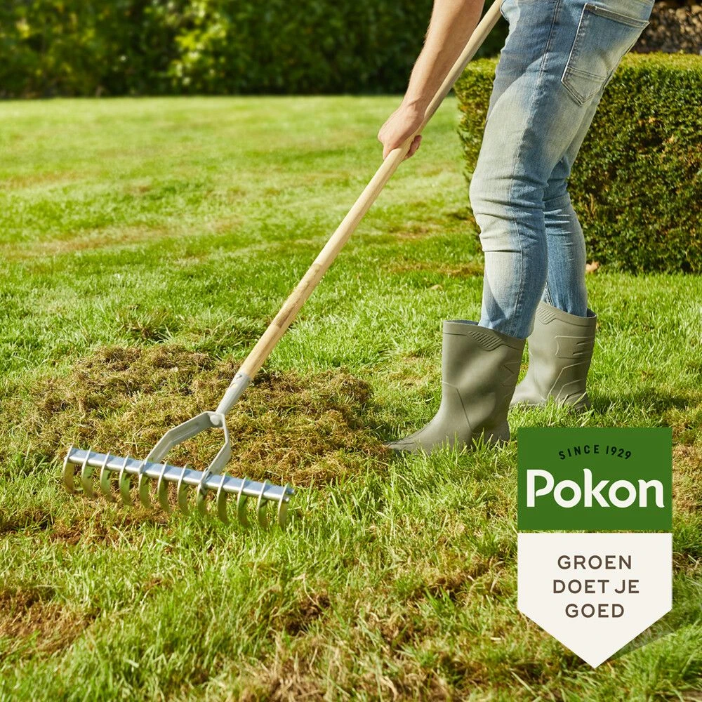Pokon Graszaad - Herstel 4 Pokon Graszaad - Herstel - Afbeelding 4