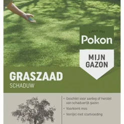 Pokon Graszaad - Schaduw