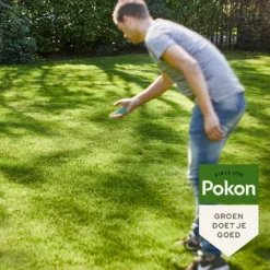Pokon Graszaad - Schaduw -Boom Ziel Verkoop pokon graszaad schaduw tuinland