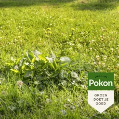 Pokon Onkruid Weg! -Boom Ziel Verkoop pokon onkruid weg sfeerfoto tuinland 1