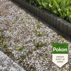 Pokon Tegen Onkruid - Concentraat 9 Pokon Tegen Onkruid - Concentraat -Boom Ziel Verkoop pokon tegen onkruid concentraat sfeer tuinland